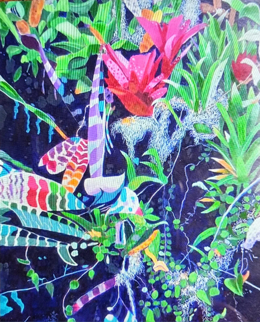 Night Frog Songs